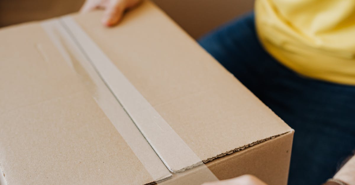 Paradise City, Phoenix