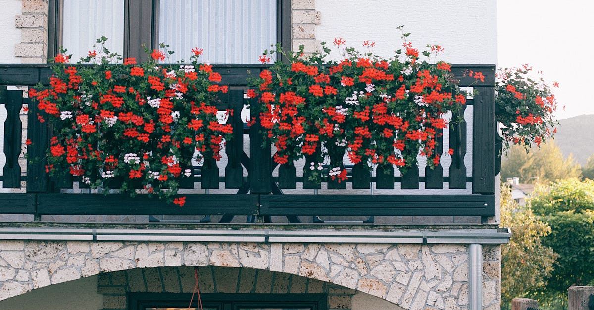 Things to do and places to visit in Colony Biltmore IV, Phoenix