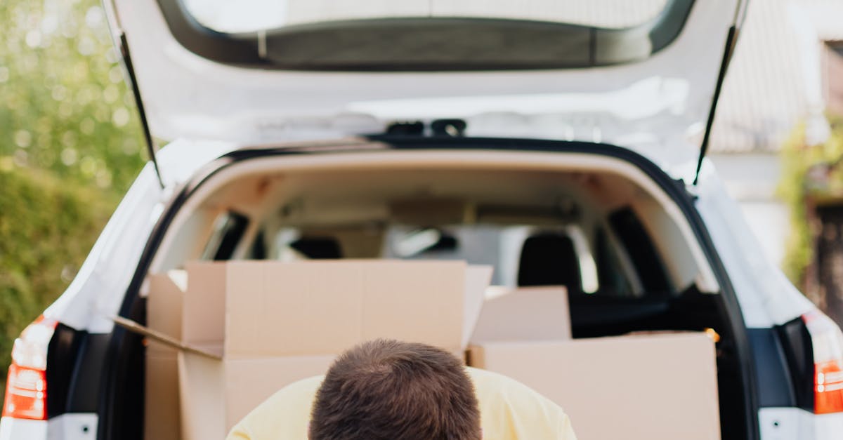 Things to do and places to visit in Trovia, Phoenix